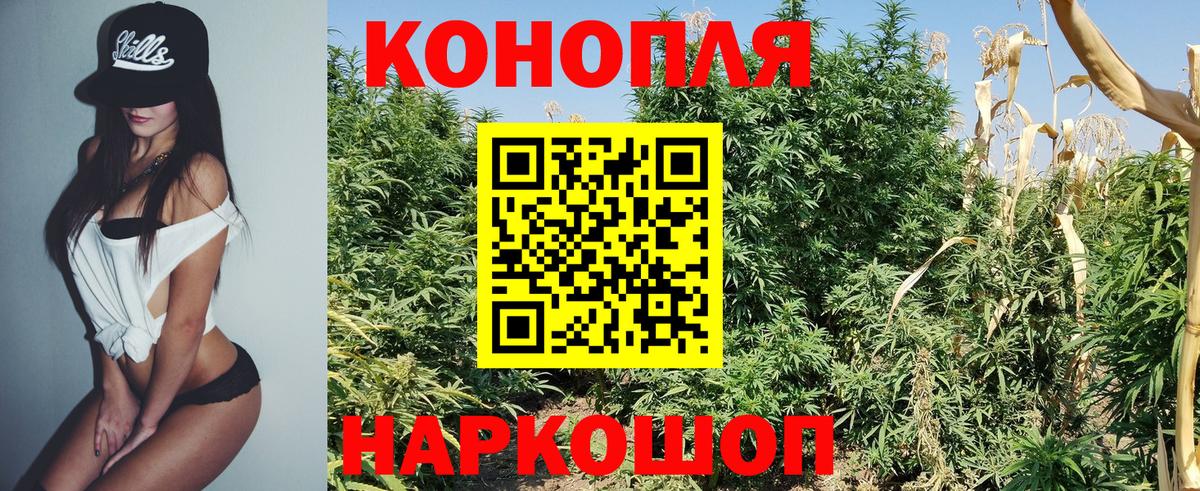 Каннабис планчик  МАРИХУАНА SATIVA & INDICA  Черкесск  Вход с VPN 